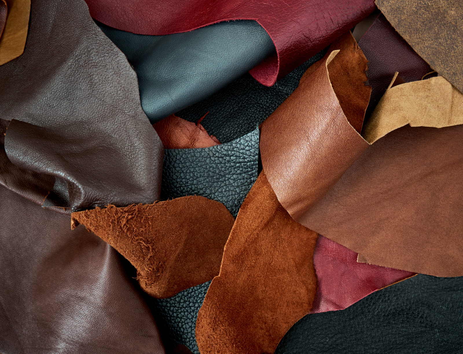 5 Different Leather Colors for Sofas